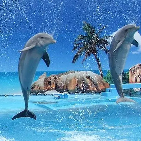 Serene Oasis: With Pool And Access * Albufeira